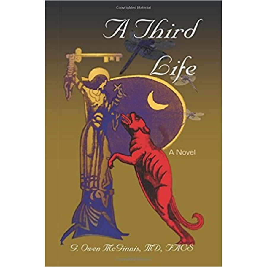 A Third Life, A Novel