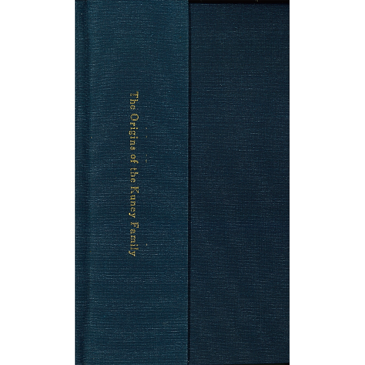The Origins of the Kuney Family in American and the Descendants of Melchior Kuney