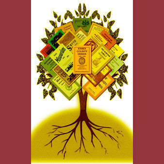 genealogies family histories