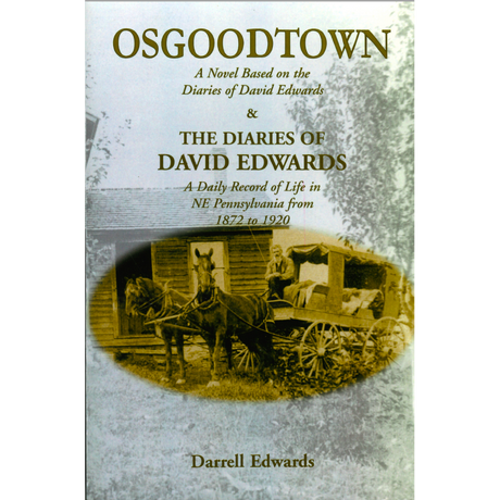 Osgoodtown: A Novel Based on the Diaries of David Edwards