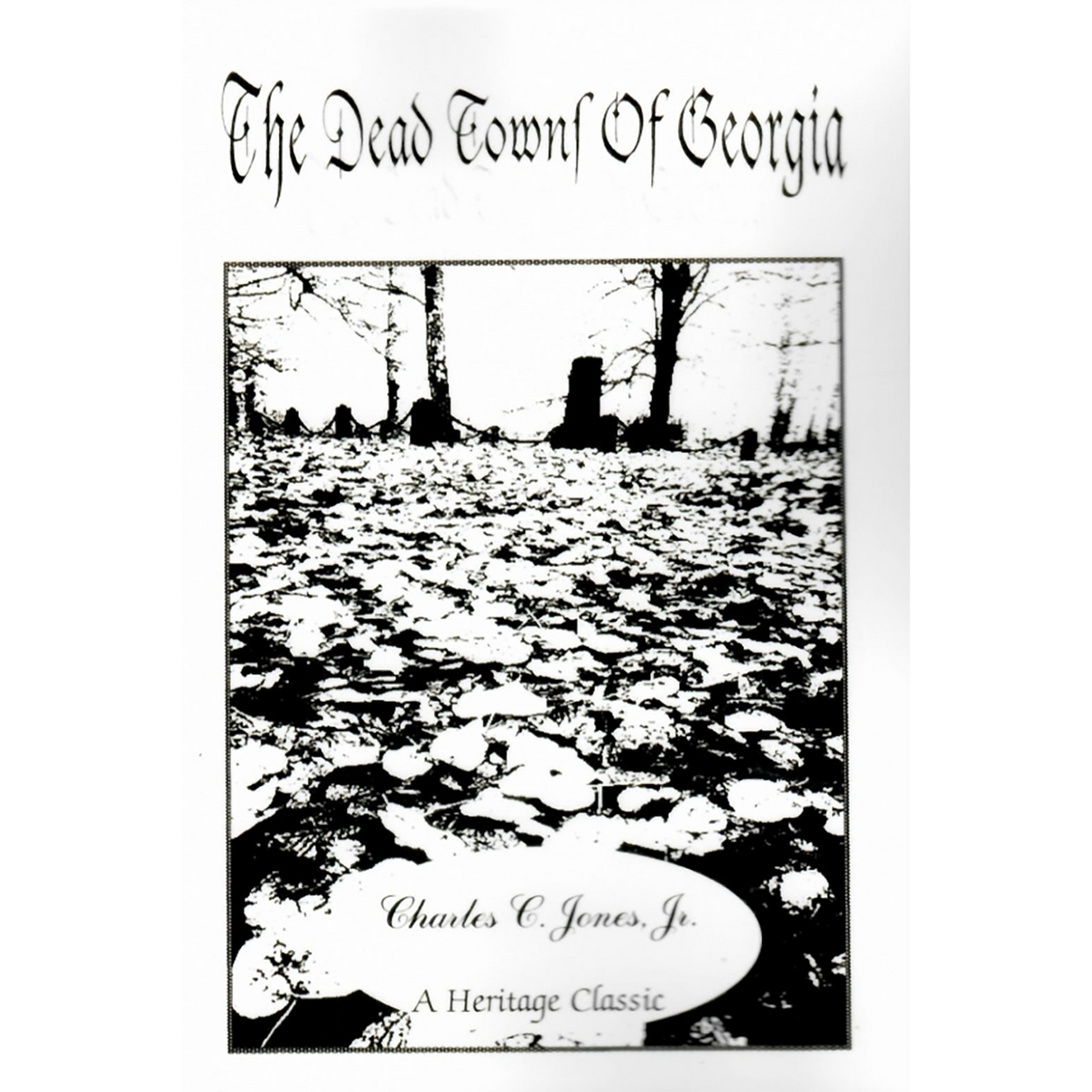 The Dead Towns of Georgia
