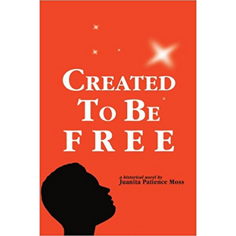 Created To Be Free: A Historical Novel about One American Family