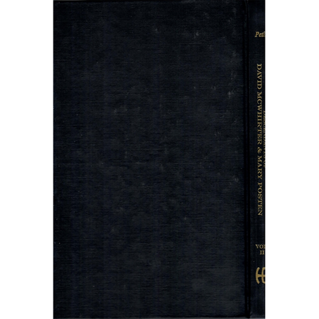 Descendants of David McWhirter and Mary Posten, Volume 2 [cloth]