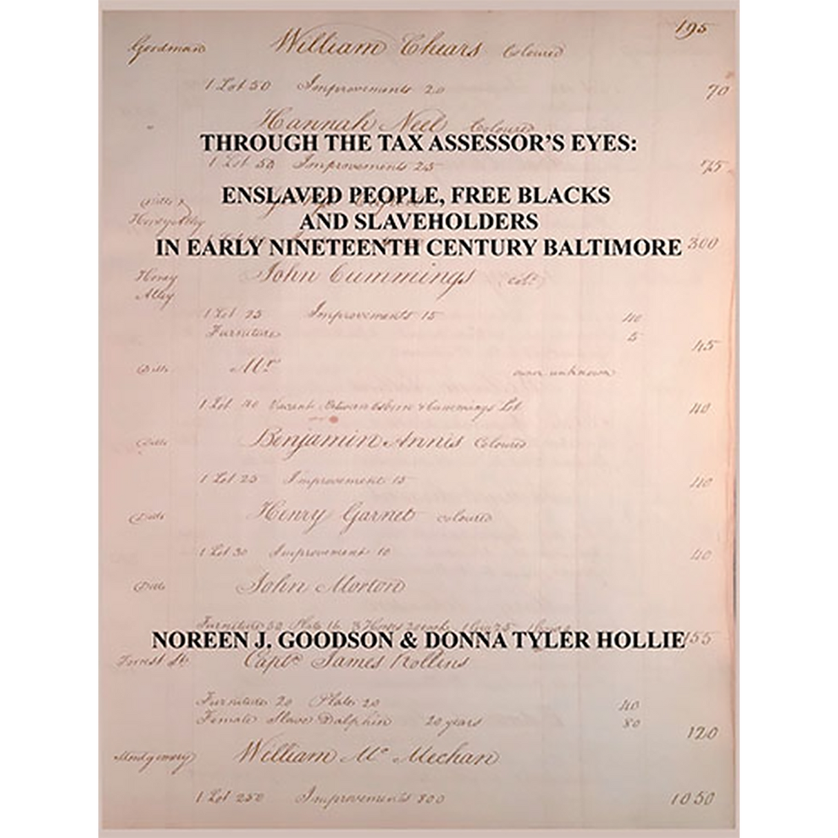 Through the Tax Assessor's Eyes