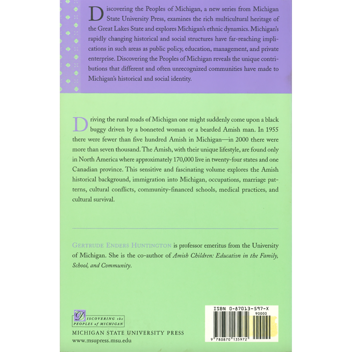 Amish in Michigan back cover